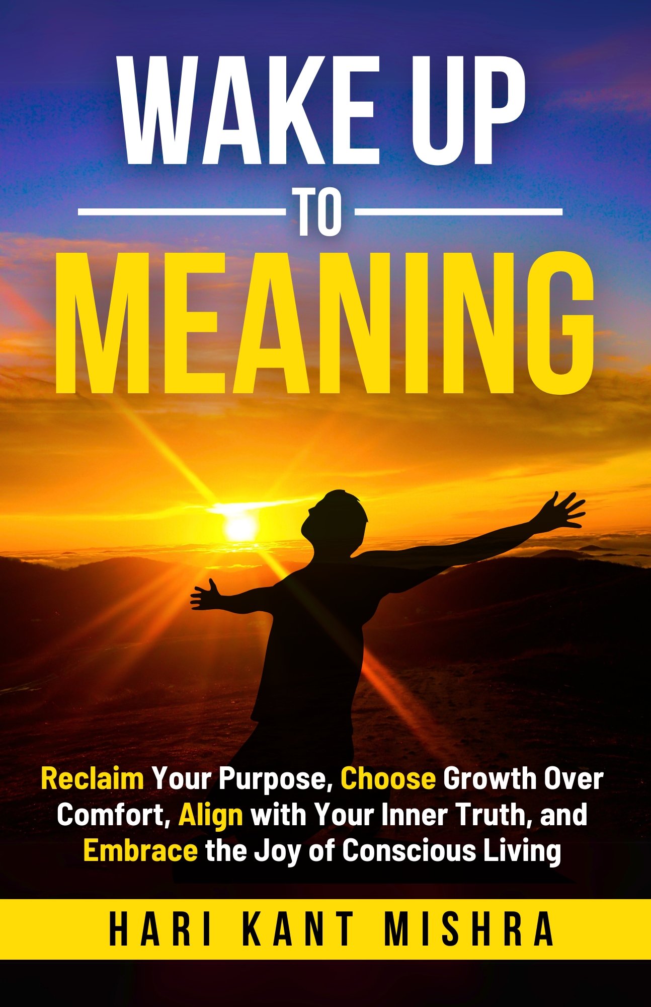 Cover of Wake Up to Meaning by Hari Kant Mishra